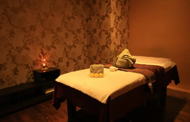  Spa in Janakpuri massage room